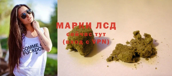 гашик Нефтекумск