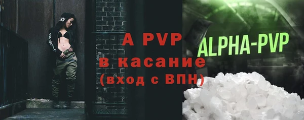 гашик Нефтекумск
