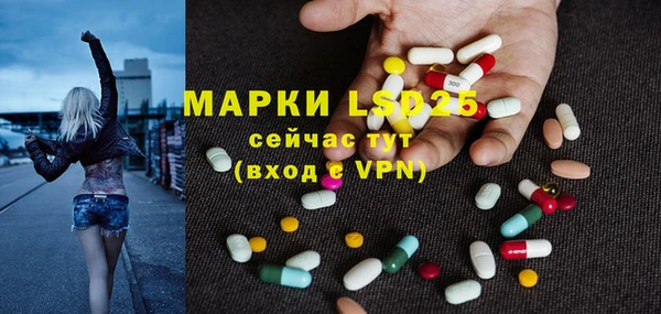 гашик Нефтекумск