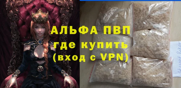 гашик Нефтекумск
