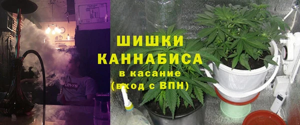 гашик Нефтекумск