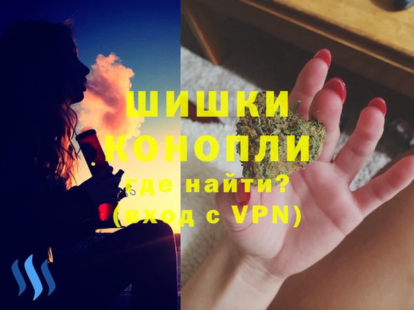 гашик Нефтекумск