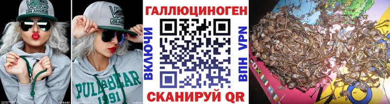 Галлюциногенные грибы мицелий  Купить где  Советская Гавань 